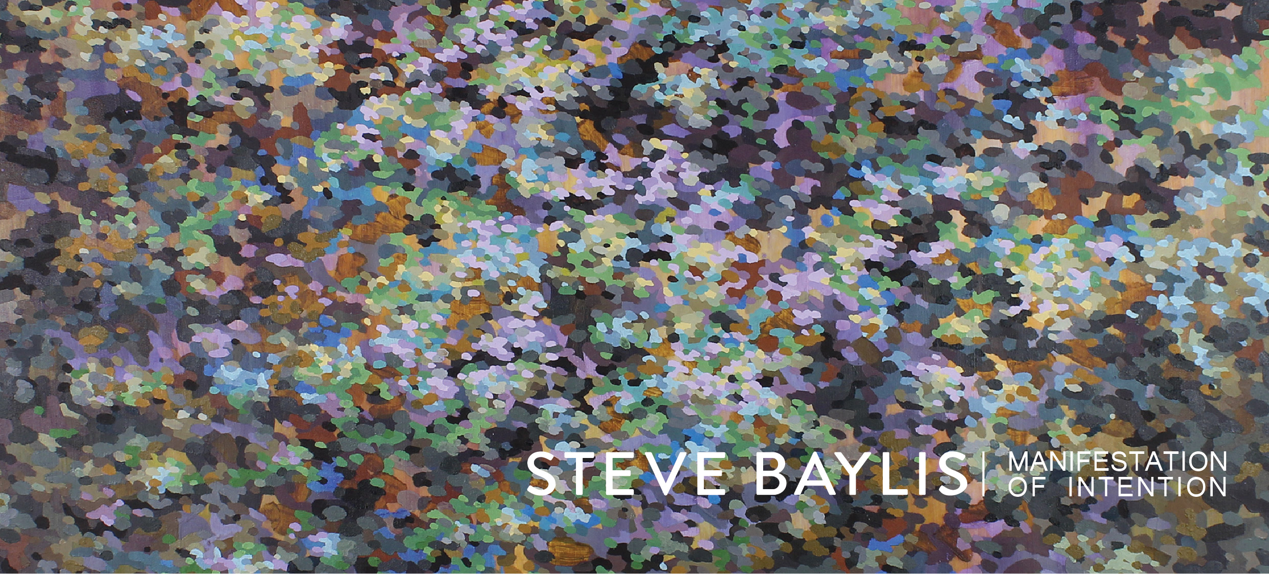 Steve Baylis: Manifestation of Intention